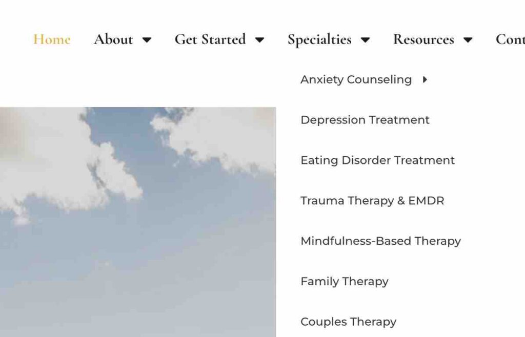 SEO for Therapists: How to Grow Your Practice Ethically and Get Found by the Right Clients 6 individual service pages