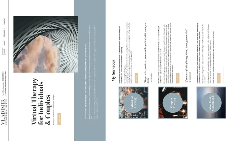 Homepage 32 valdimir copy